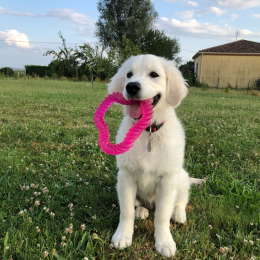 Scarlett et soulie profile