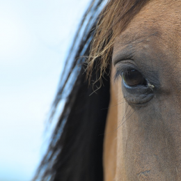 Isabelle et xavier-philippe profile