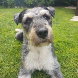 Lawky profile