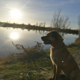 Marley profile