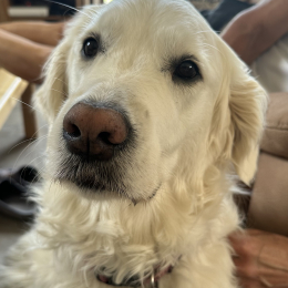 Rubie profile