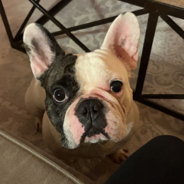 Oscar profile