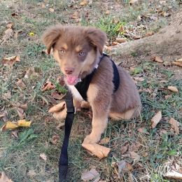 Yuki profile