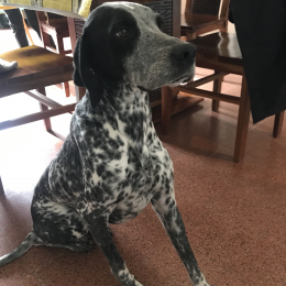 Caixa profile