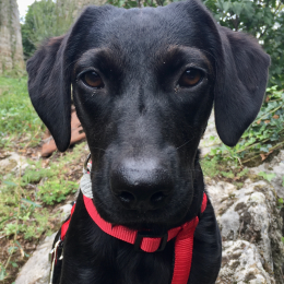 Ruby profile