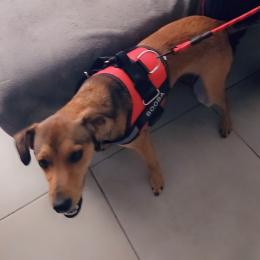 Booba profile
