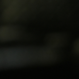 Vega profile