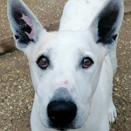 Peggy profile