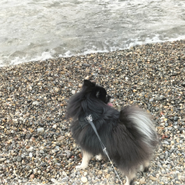 Maddy profile