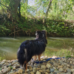 Eulalie profile