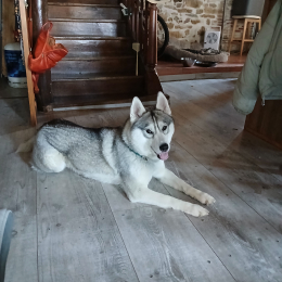 Nala profile