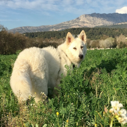 Mituki profile
