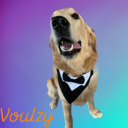 Voulzy profile