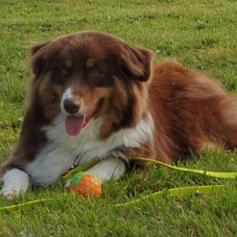 Vaïna profile