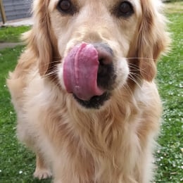 Melbhy profile