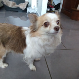 Nalia profile