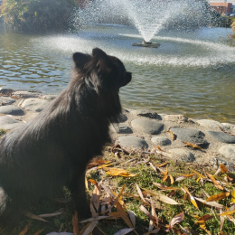 Maïa profile
