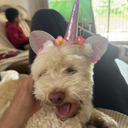 Happy profile