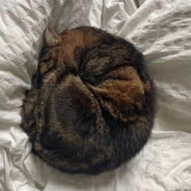 Lilou