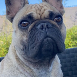 Rita profile