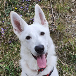 Happy profile