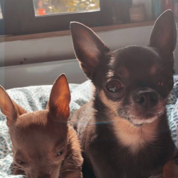 Mona et myla profile