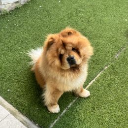Ted profile