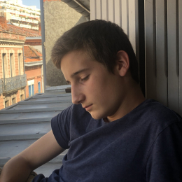 Martin profile