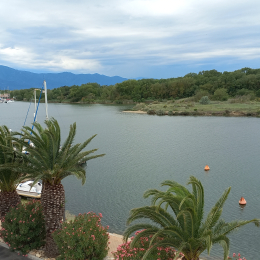 Marie-cecile profile