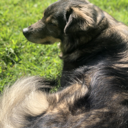 Extra profile