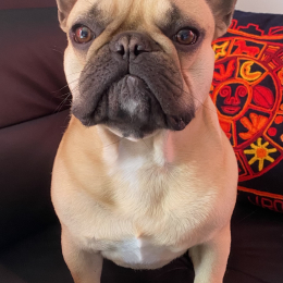 Tootsy profile