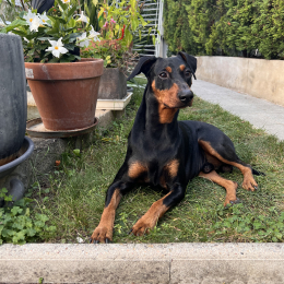 Narco profile
