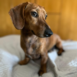 Ana cristina profile