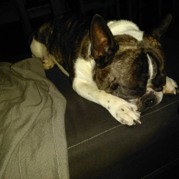 Fanny et lover profile