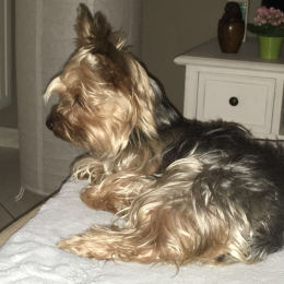 Funny profile
