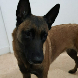 Liloo profile