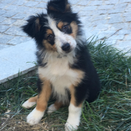 Happy profile