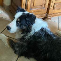Fango profile