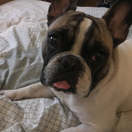 Oscar  profile
