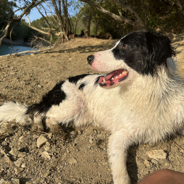 Osky profile