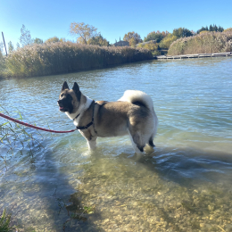 Jude profile