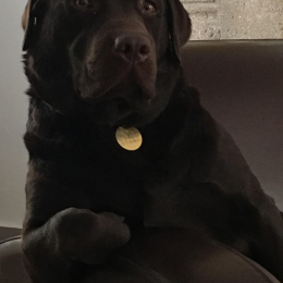 Liloup profile