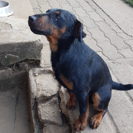 Minoucha profile