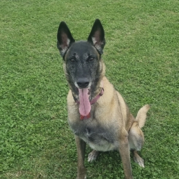 Nicky profile