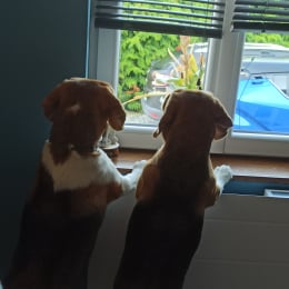 Rolly et thelma profile