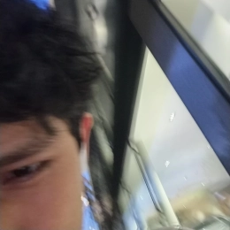 Luis profile