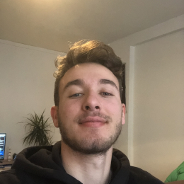 Raphaël profile