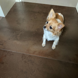 Oly profile