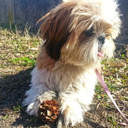 Tina profile