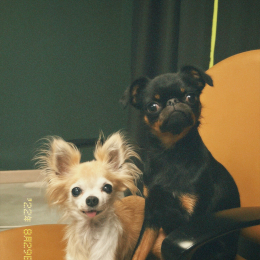 Bali e wanda profile